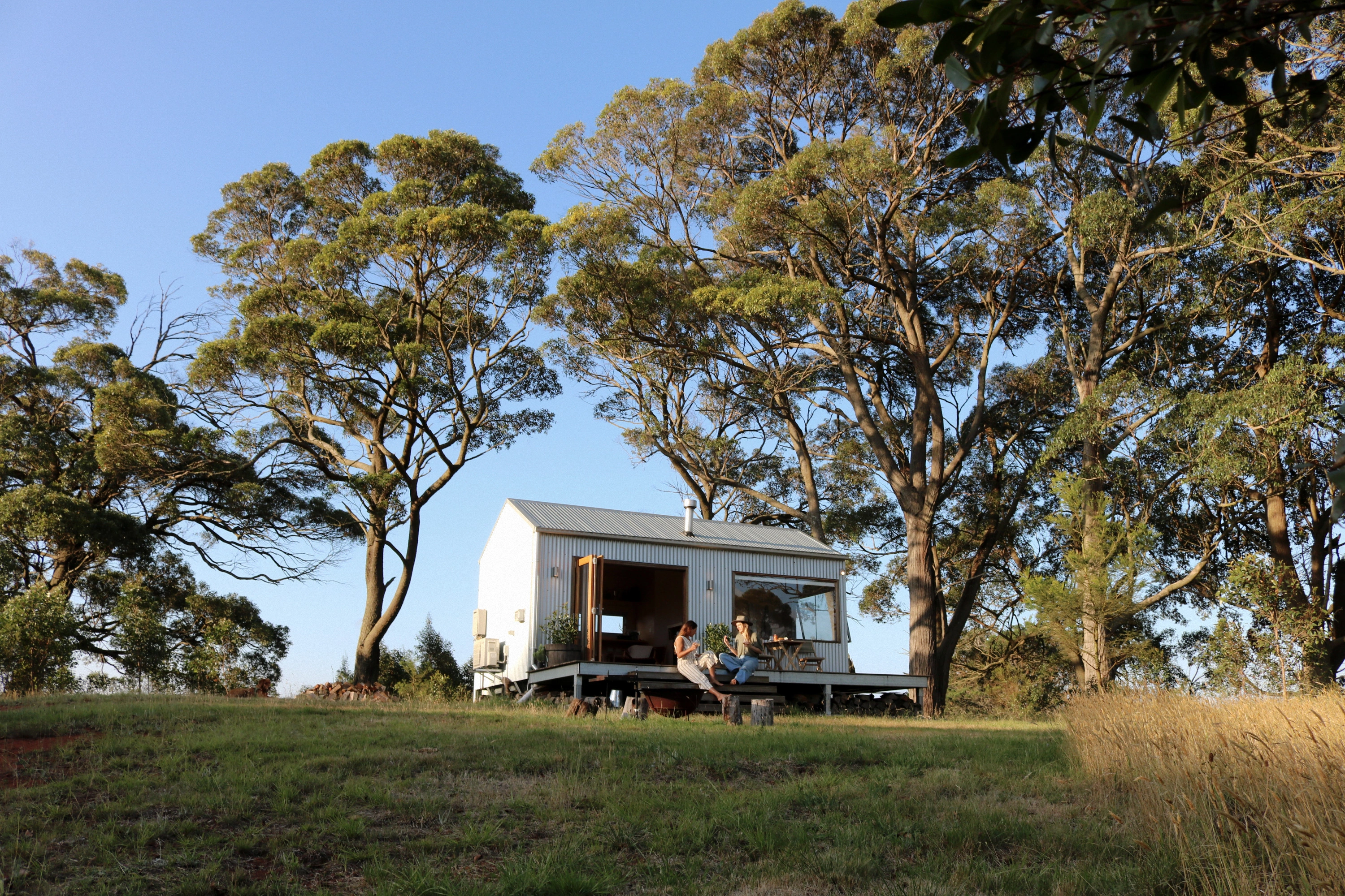 Zinc Studio Cabin Outpost Exeter