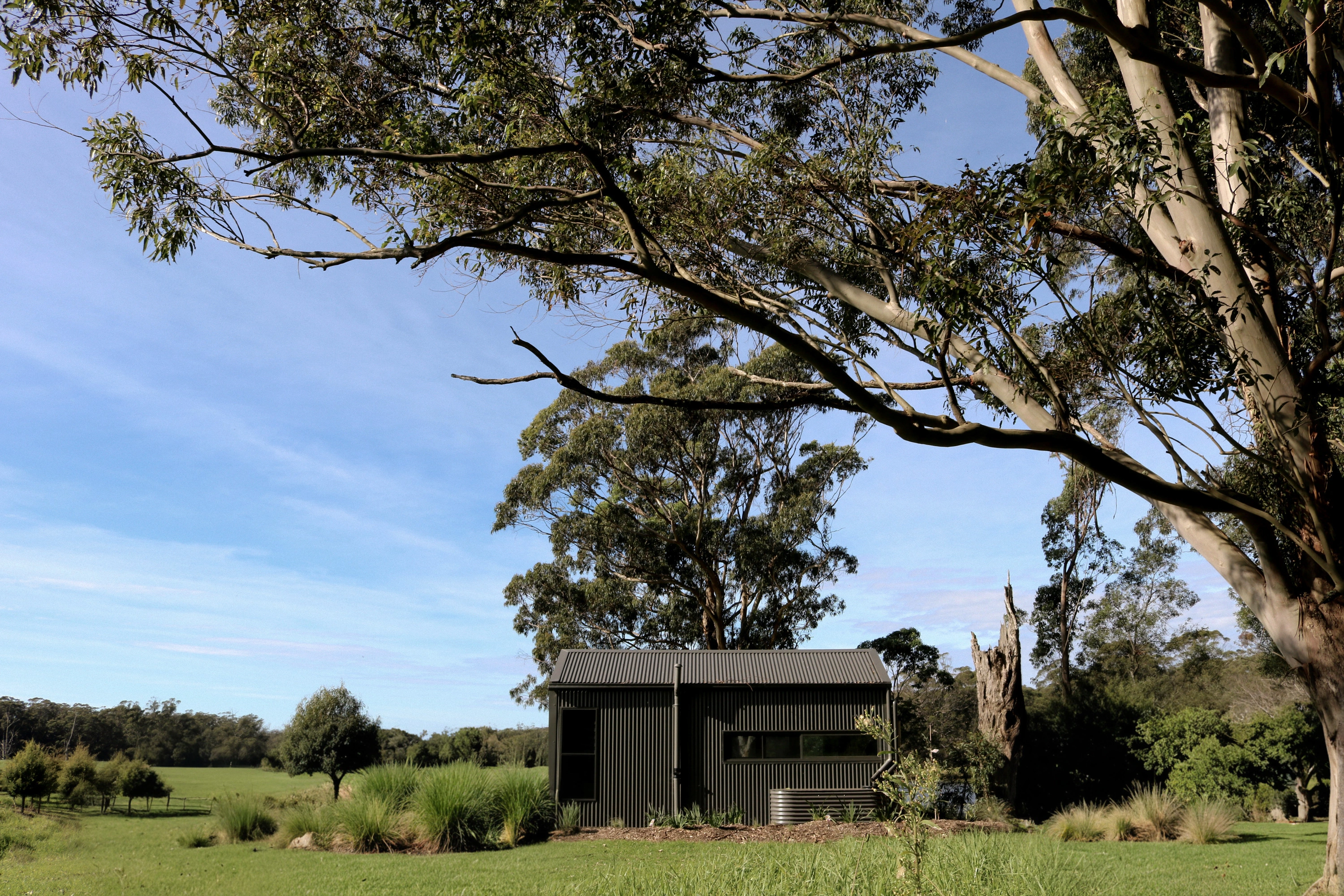 Dark-clad cabin beneath a large tree beside open fields
